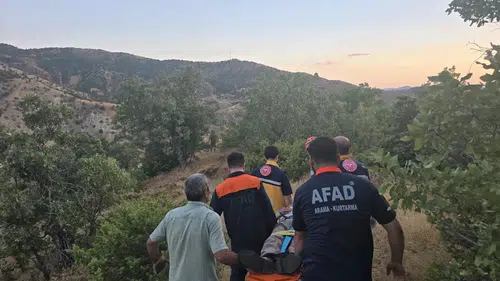 Bingöl Genç ilçesinde kaybolan vatandaş ormanlık alanda sağ bulundu