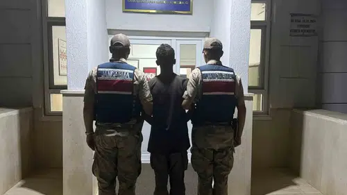 Şanlıurfa'da göçmen kaçakçılığı operasyonu kapsamında 20 kişi yakalandı