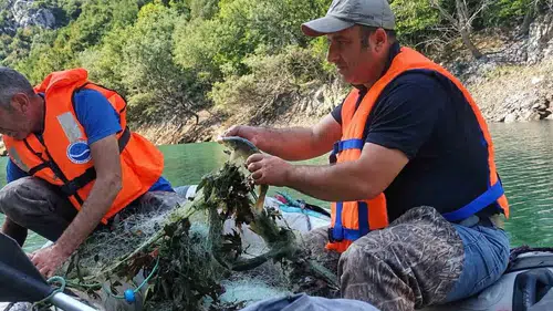 Elazığ'da baraj gölündeki canlı yaşamı mercek altına alındı