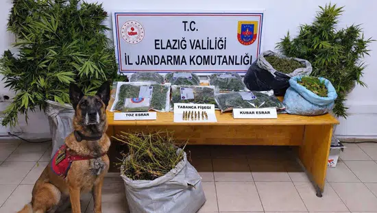 Elazığ kırsalında uyuşturucu operasyonu düzenlendi