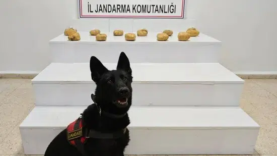 Başkale kırsalında düzenlenen operasyonda yüklü miktarda uyuşturucu madde bulundu