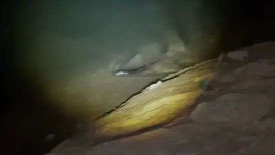 Keban Baraj Gölü'nde gece avlanan su samuru kameraya yansıdı