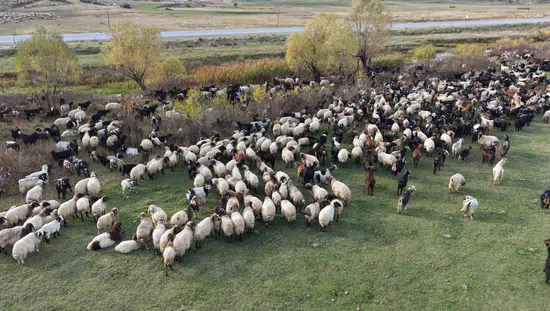 Van ve Bitlis yaylalarından göçerlerin zorlu dönüş yolculuğu başladı