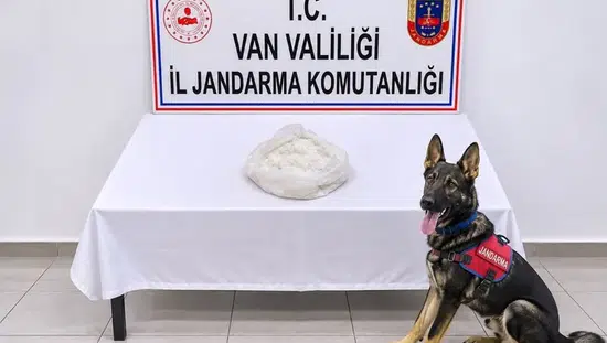 Van'da yolcu otobüsünde yakalanan şüpheli tutuklandı