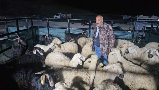 Elazığ kurban pazarında uykusuz nöbet