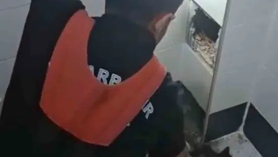 Diyarbakır'da duvara sıkışan kediye itfaiye operasyonu