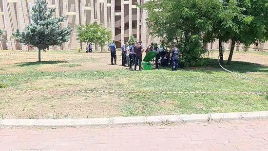 Şanlıurfa'da parkta cansız beden bulundu