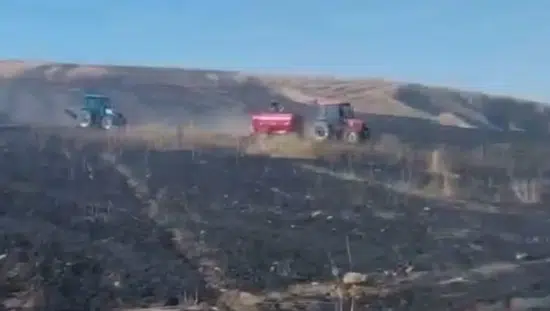 Siirt’te hasat zamanı korkutan yangın