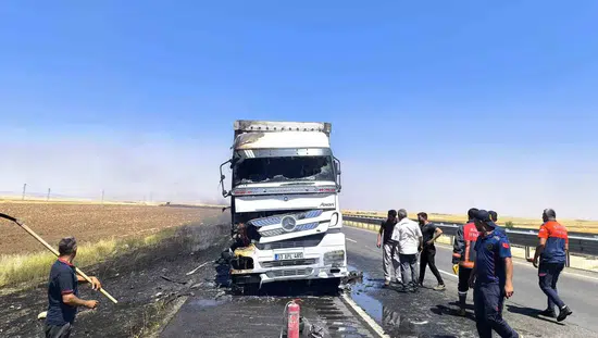 Nusaybin yolunda seyir halindeki tır alevlere teslim oldu