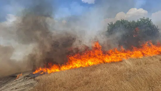 Diyarbakır'ın beş ilçesinde aynı anda yangın alarmı