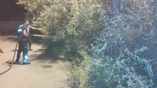 Başkale ilçesindeki bir bahçede çıkan yangın paniğe yol açtı