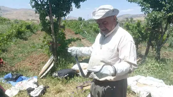 Batmanlı vatandaş bahçesinde bulduğu yılanı zarar vermeden doğaya saldı