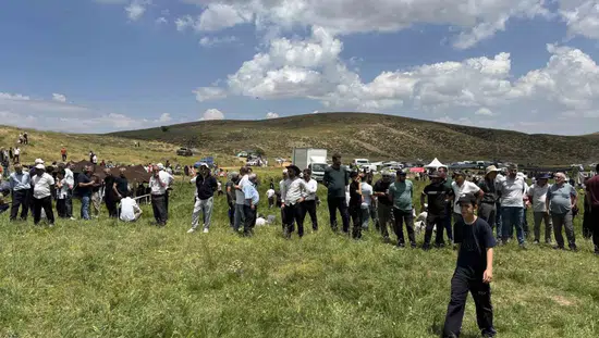 Bingöl Çotla Yaylası binlerce kişiyi huzur ortamında buluşturdu