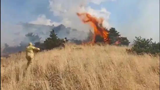 Bingöl Genç ilçesindeki orman yangını ekiplerin müdahalesiyle tamamen söndürüldü