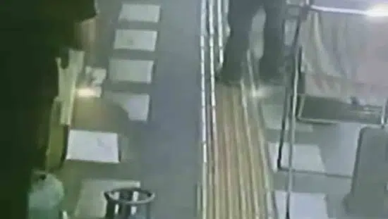 Kızıltepe'de iş yeri önündeki papağan böyle çalındı