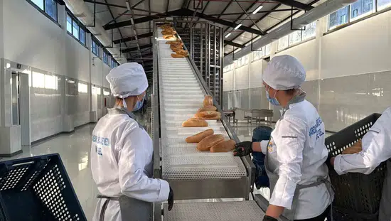 Diyarbakır Büyükşehir Belediyesi yeni Halk Ekmek üretim tesisini hizmete sundu