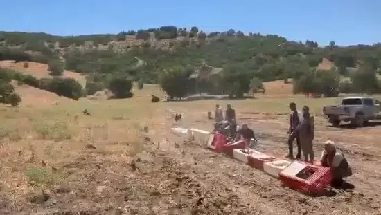 Elazığ kırsalındaki kene sorununa karşı 300 keklik doğaya salındı