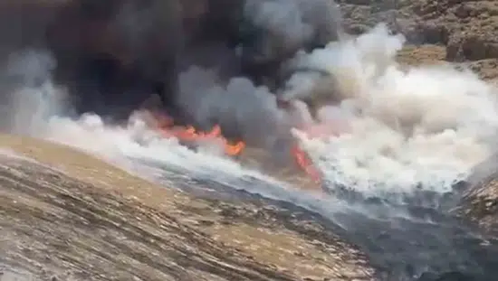 Mardin Artuklu Eskikale Mahallesindeki otluk yangını kontrol altına alındı