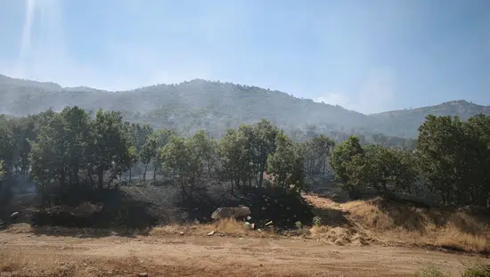 Çüngüş’teki Mırgan Yaylası’nda çıkan yangın ekiplerin müdahalesiyle söndürüldü