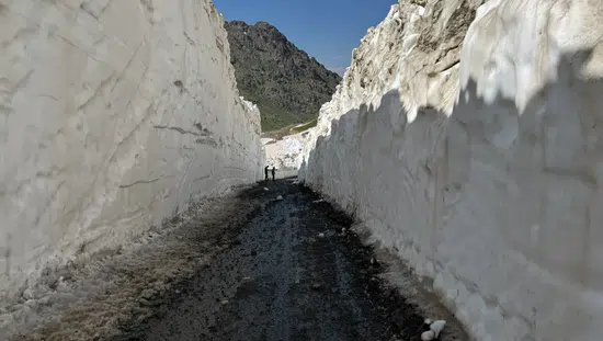 Yüksekova dağlarında Temmuz ayında karla mücadele zorlu geçiyor