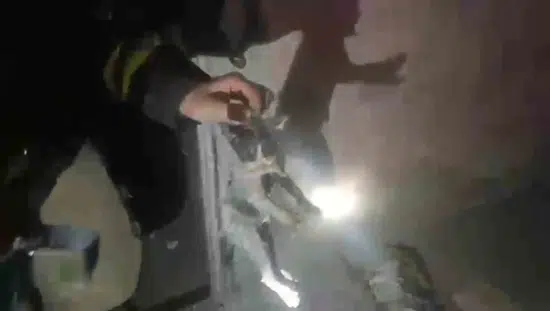 Şanlıurfa'da bodrum katındaki yangından iki yavru kedi sağ çıkarıldı