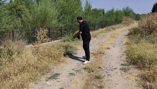Esnaf trafikteki kaplumbağayı ezilmekten son anda kurtardı