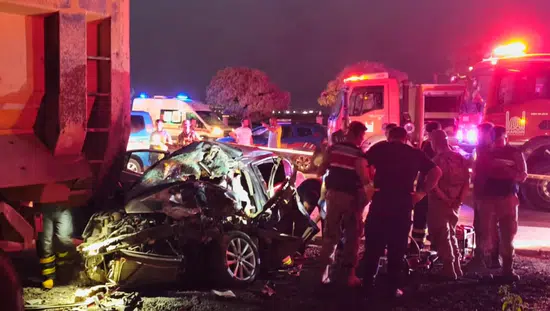 Derik yolunda kamyona çarpan otomobilde bir kişi hayatını kaybetti