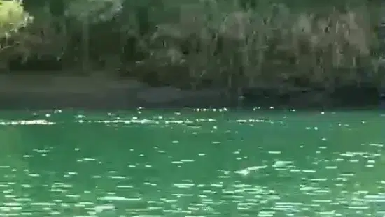 Dicle Nehrinde Piknik Sırasında Devrilen Bottan Bir Genç Kadın Hayatını Kaybetti