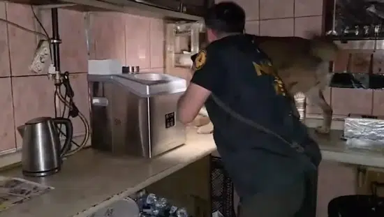 Bitlis merkezli narkotik operasyonunda 11 kişi cezaevine gönderildi