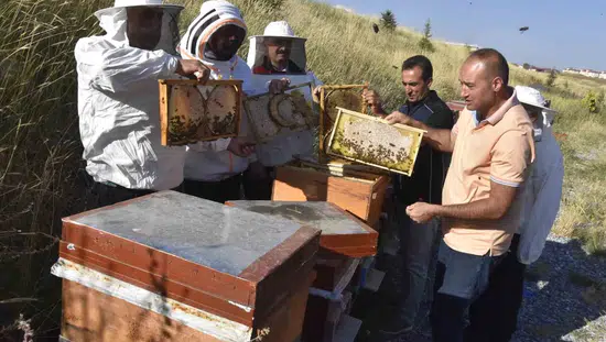 Bitlis Eren Üniversitesi bal üretiminde kapasitesini ve kalitesini artırıyor