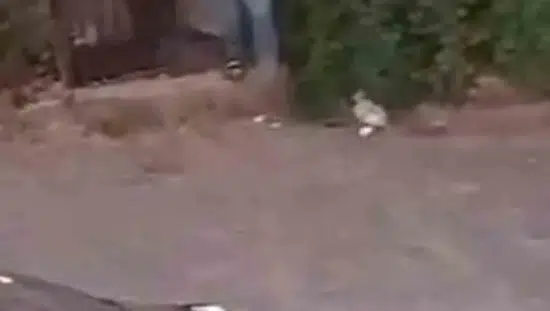 Şanlıurfa'da husumetli ailelerin silahlı çatışmasında üç kişi hastanelik oldu