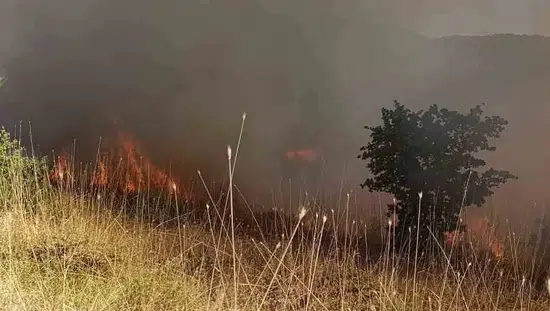 Muş Arıköy kırsalındaki orman yangını ekiplerin müdahalesiyle söndürüldü