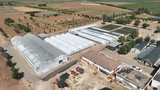Şanlıurfa kendi çiçeklerini üreterek parklarını süsleyecek