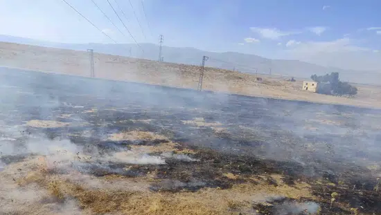 Muşta iki farklı noktada çıkan anız yangınları korku dolu anlar yaşattı