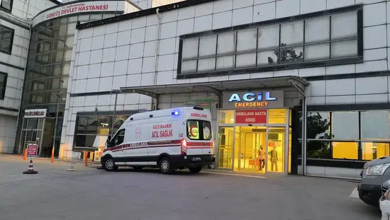 Gercüş kırsalında geri manevra yapan araç işçiye çarptı