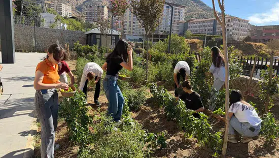 Sason Halk Kütüphanesi bahçesinde öğrenciler kendi sebzelerini yetiştirip hasat etti