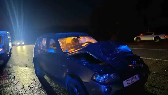 Bingöl’de otomobilin ata çarpması sonucu bir kişi yaralandı