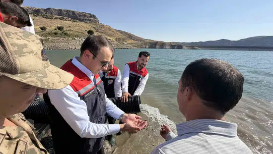 Şırnak Ilısu Baraj Gölü'ne 800 bin yavru balık bırakıldı