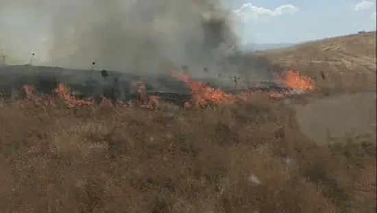 Bingöl Havalimanı Kavşağında çıkan anız yangını ekiplerce söndürüldü