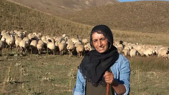 Tuncelili Özlem Baloğlu yaylada kendi işinin patronu olmayı hedefliyor
