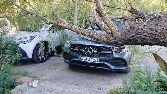 Keban'da şiddetli fırtına ağacı park halindeki araçların üzerine devirdi