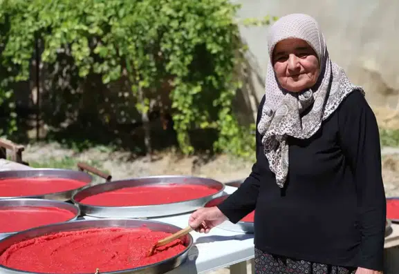 Ağın ilçesinde kışlık salça mesaisi güneşin altında devam ediyor