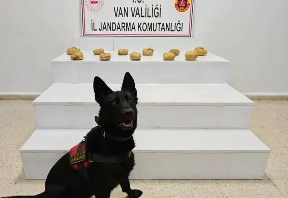 Başkale kırsalında jandarma ekipleri yüklü miktarda uyuşturucu madde yakaladı