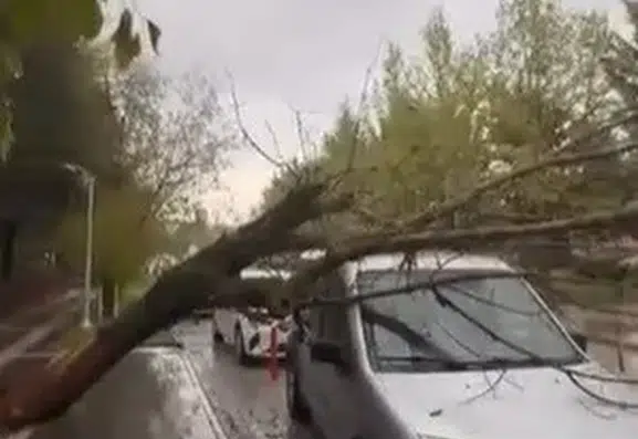 Elazığ'da şiddetli fırtına park halindeki araca zarar verdi