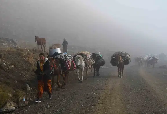 Şırnaklı göçerler soğuk havaların gelmesiyle yaylalardan dönüş yoluna koyuldu