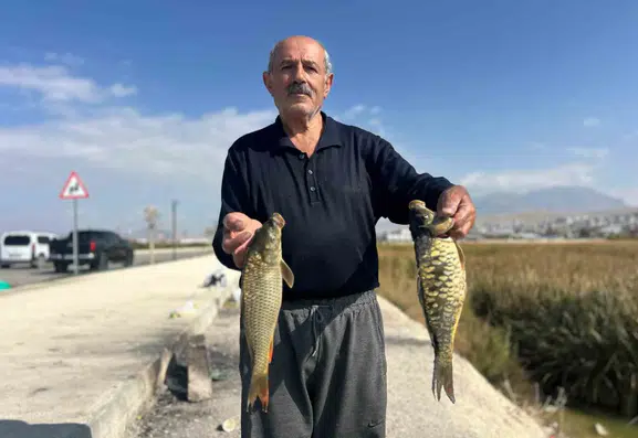 Van Gölü kıyısındaki sazlıklar amatör balıkçıların yeni uğrak noktası oldu