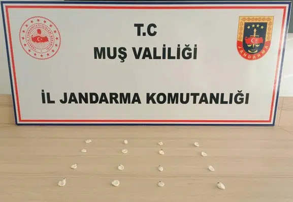 Muş jandarmasından eylül ayında 19 ayrı uyuşturucu operasyonu