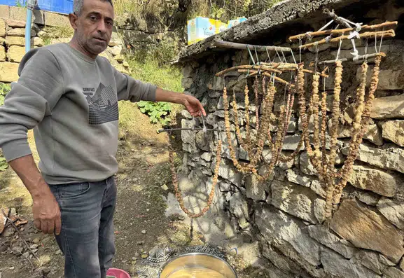 Diyarbakır Çermik'te geleneksel bağ bozumu mesaisi başladı