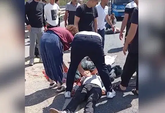 Şanlıurfa yolunda feci kaza Kurbanlık taşıyan araç devrildi
