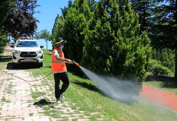 Elazığ sokaklarında haşereye karşı gece gündüz mesaisi